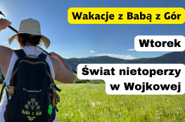 Wojkowa Wydarzenie Rozrywka Wspólne zwiedzanie świata nietoperzy w Wojkowej